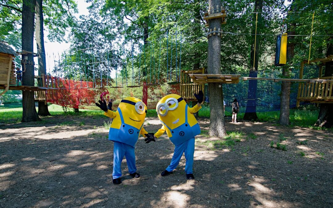 Velký návrat! Lanový park Hájenka otevírá brány