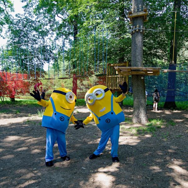 Velký návrat! Lanový park Hájenka otevírá brány